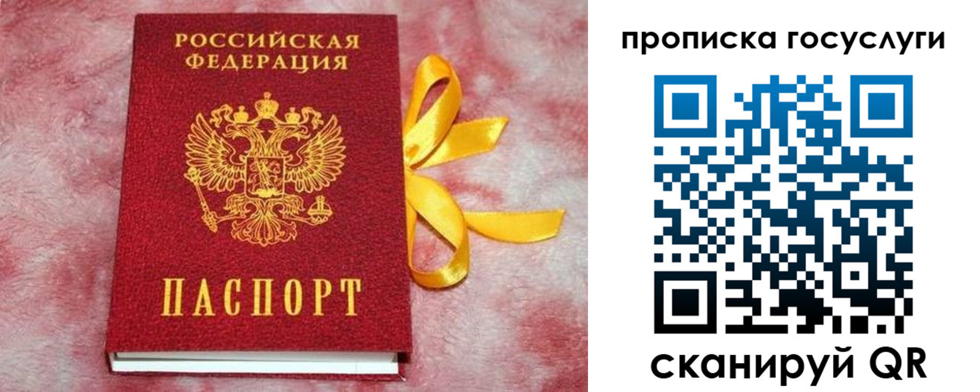 прописка законно в Алейске